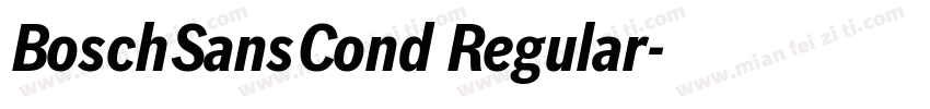 BoschSansCond Regular字体转换